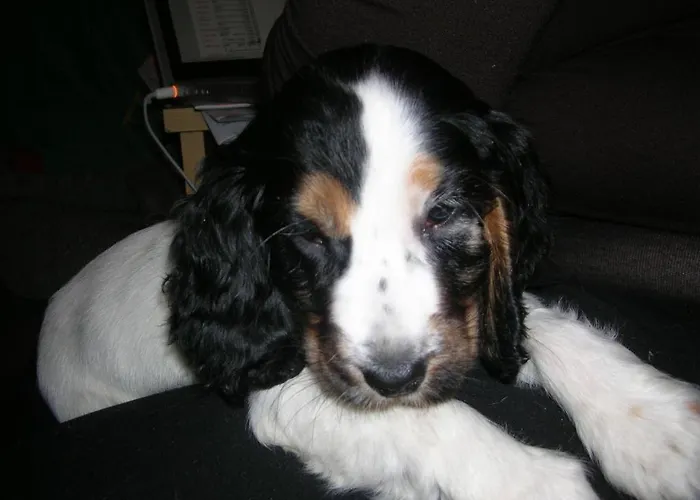 Bianca Bed and Breakfast Κατάνια